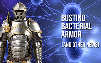 armor suit with text Busting Bacterial Armor (and other news)